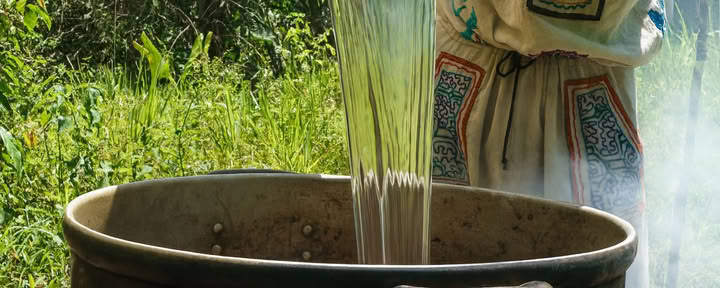 7 dienų ayahuasca retritas