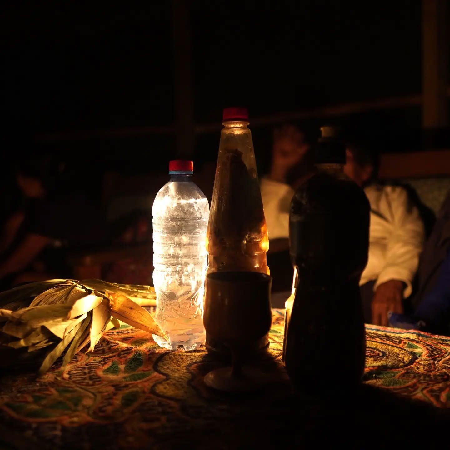 14 dienų ayahuaskos retritas