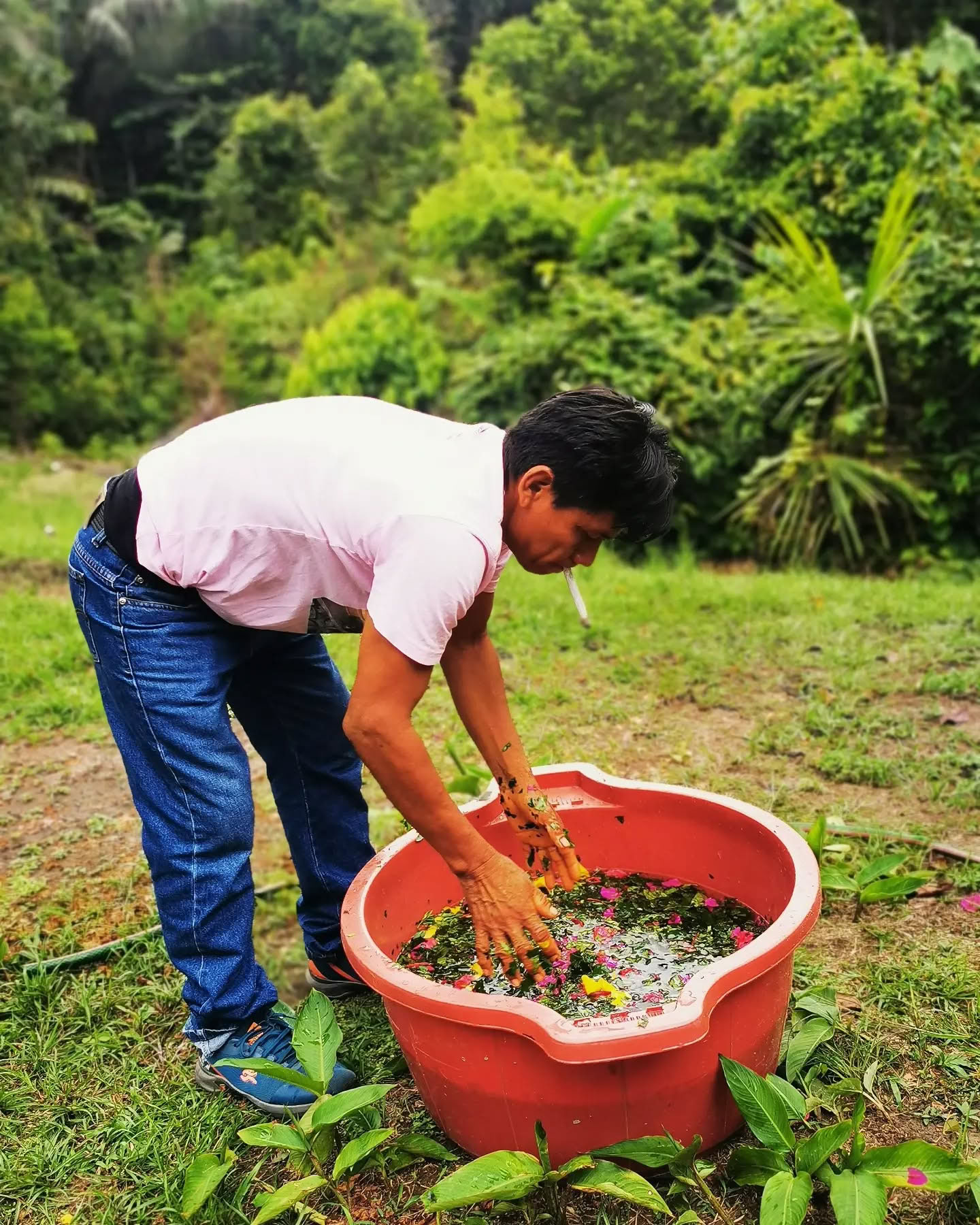 14 dienų ayahuaskos retritas