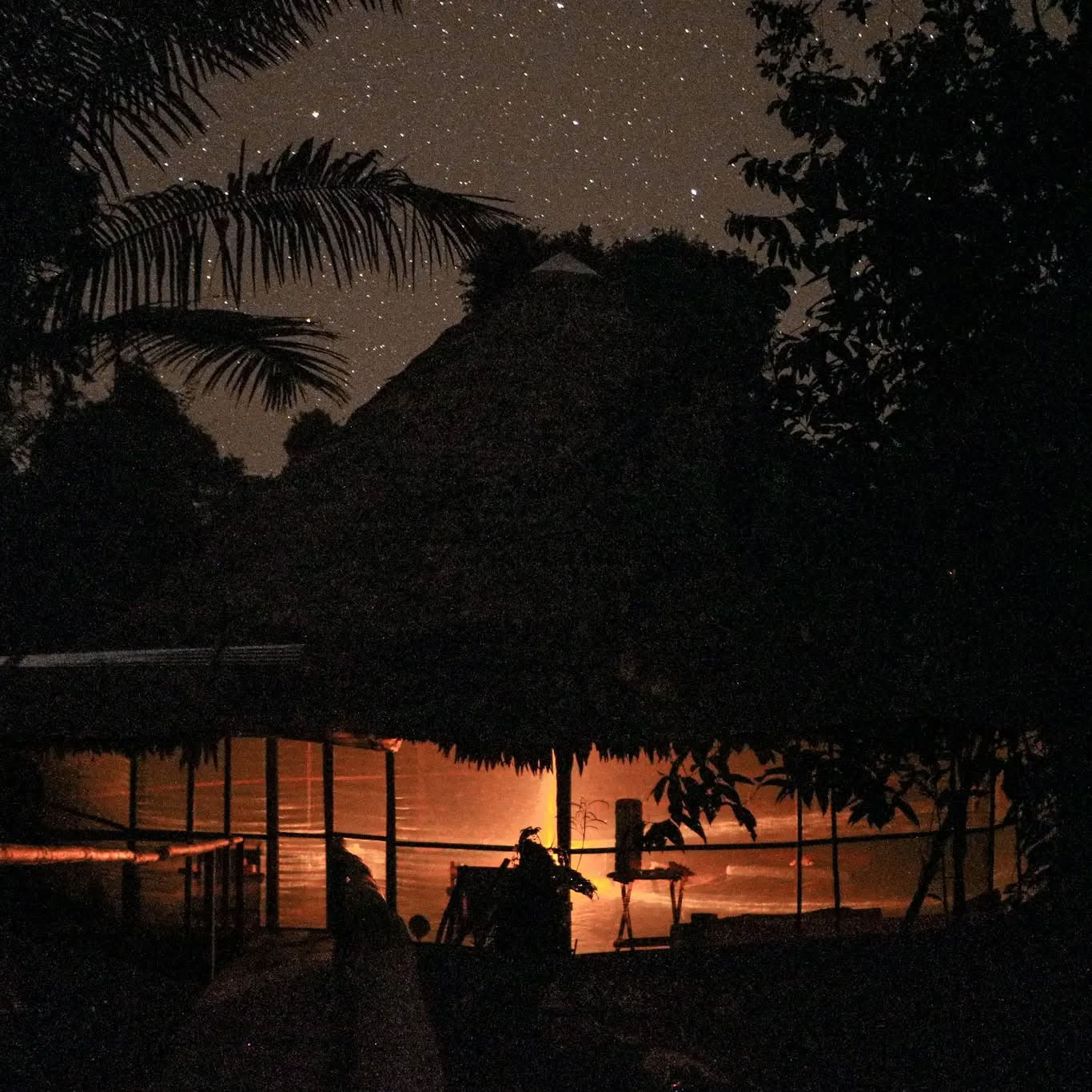 14 dienų ayahuaskos retritas