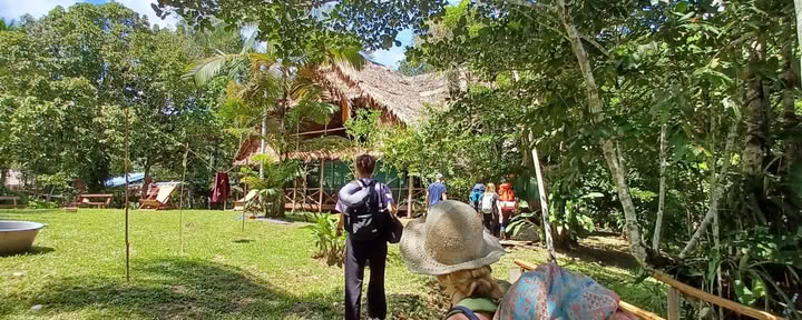 14 dienų ayahuaskos retritas