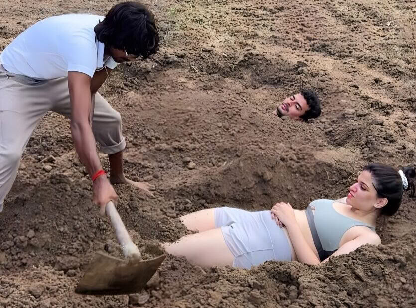 7 naktų planas