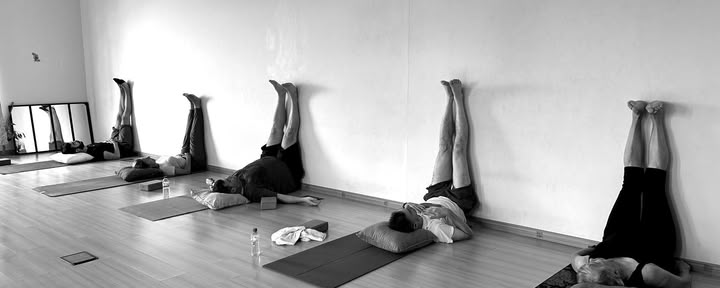 „Sattva Vinyasa“