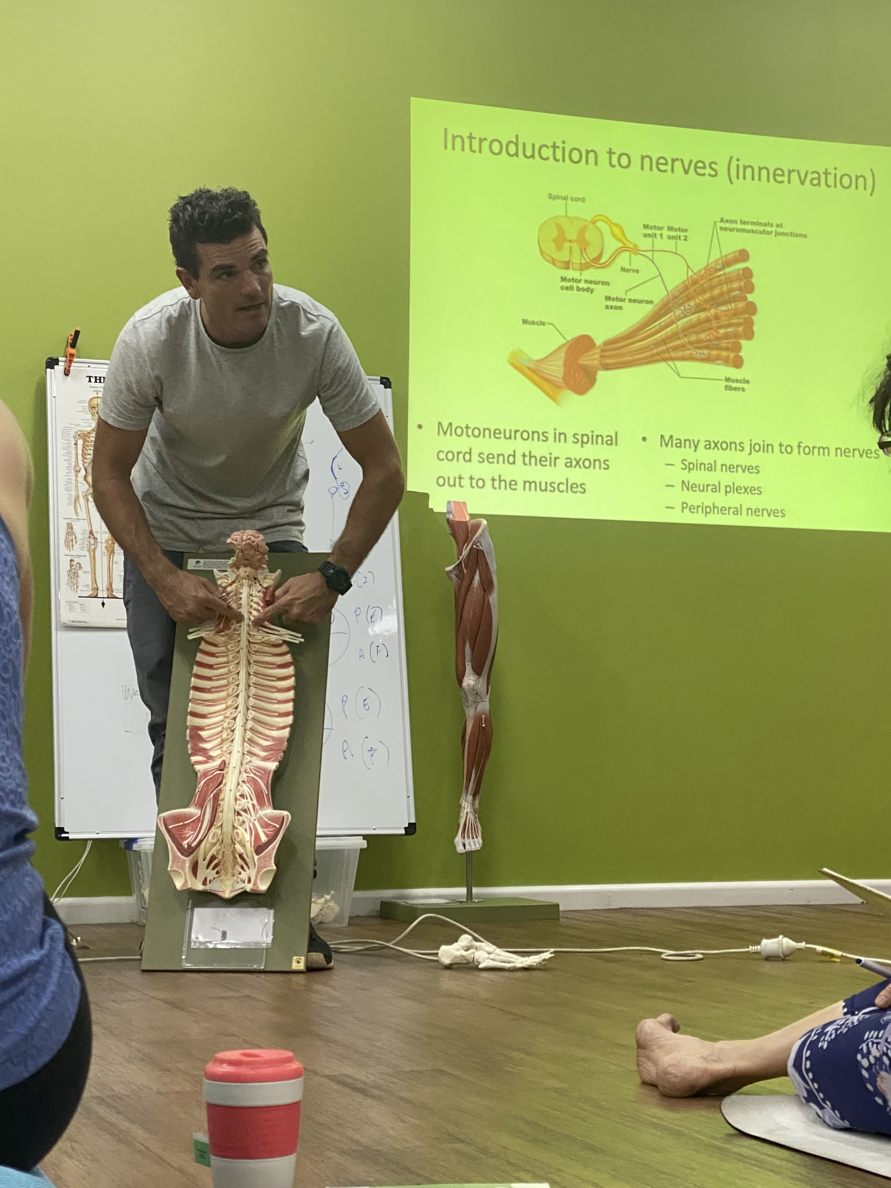 Joga panirimas