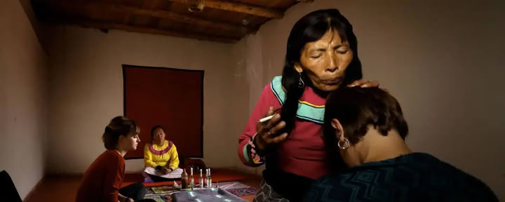 Ayahuasca retritas – 2 dienos / 1 naktis