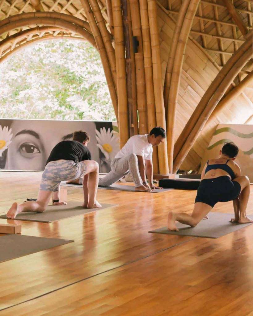 Joga 8.30