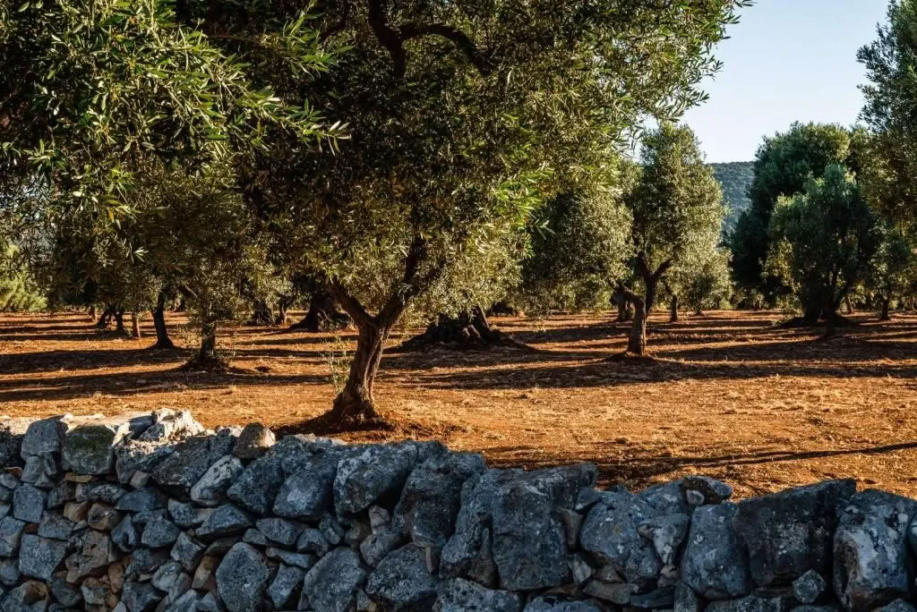Pokalbiai su vieta: kūrybinė rezidencija Masseria Specula