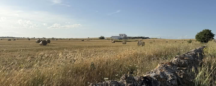 Pokalbiai su vieta: kūrybinė rezidencija Masseria Specula