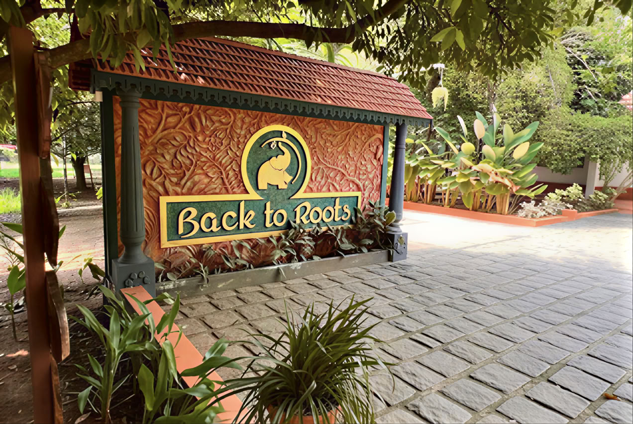 14 naktų detoksikacija „Back to Roots Ayurveda“