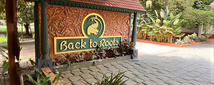 14 naktų detoksikacija „Back to Roots Ayurveda“