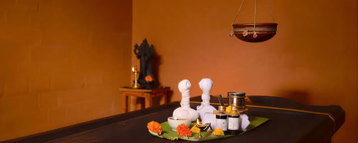 28 dienų Panchakarma gydymas Vaidyagrama — Coimbatore