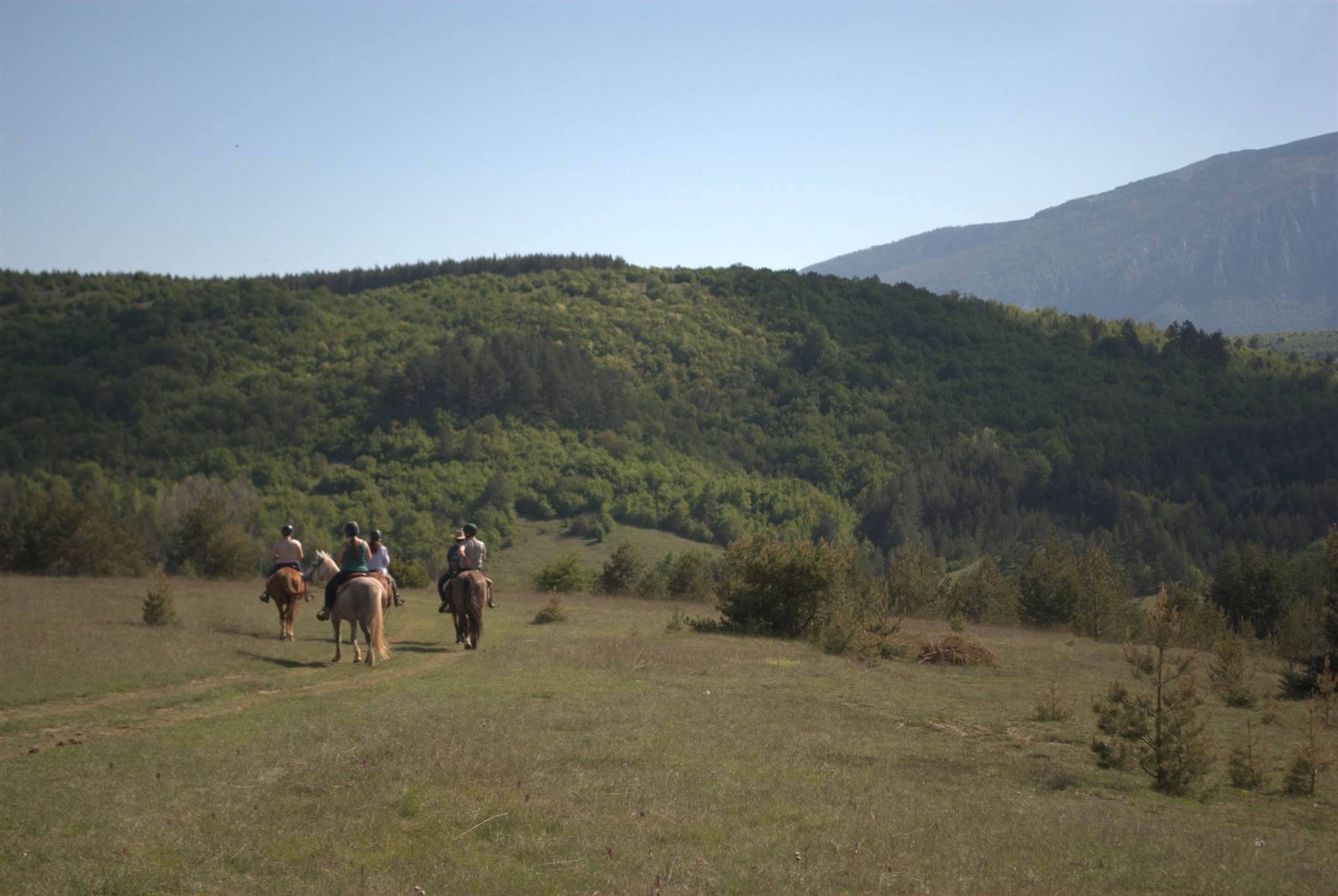 60 minučių privati taro sesija