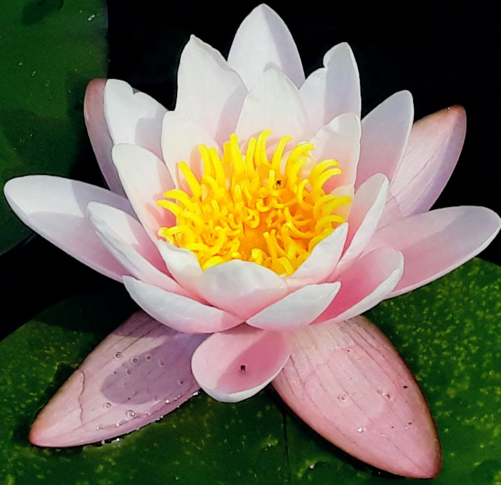Meditacija su lengvumu – sąmoningumo tylos retritas
