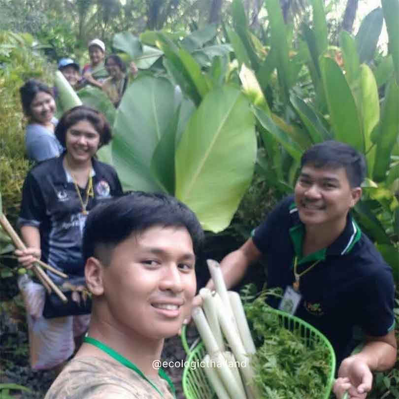 „Food Forest Project“ ir karma joga