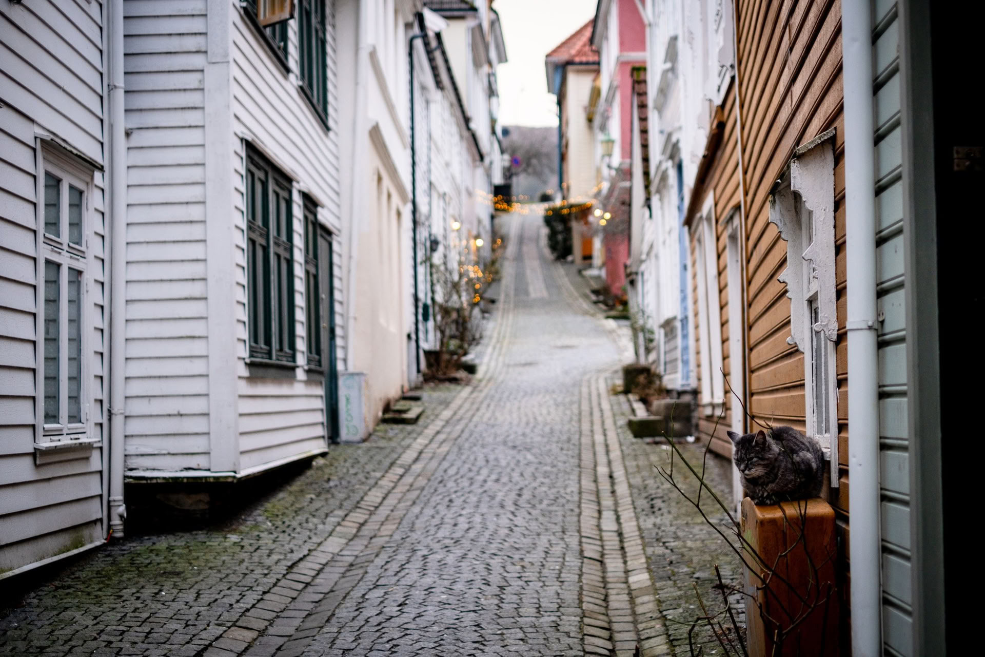 Norvegijos joga ir žygiai su kuprine