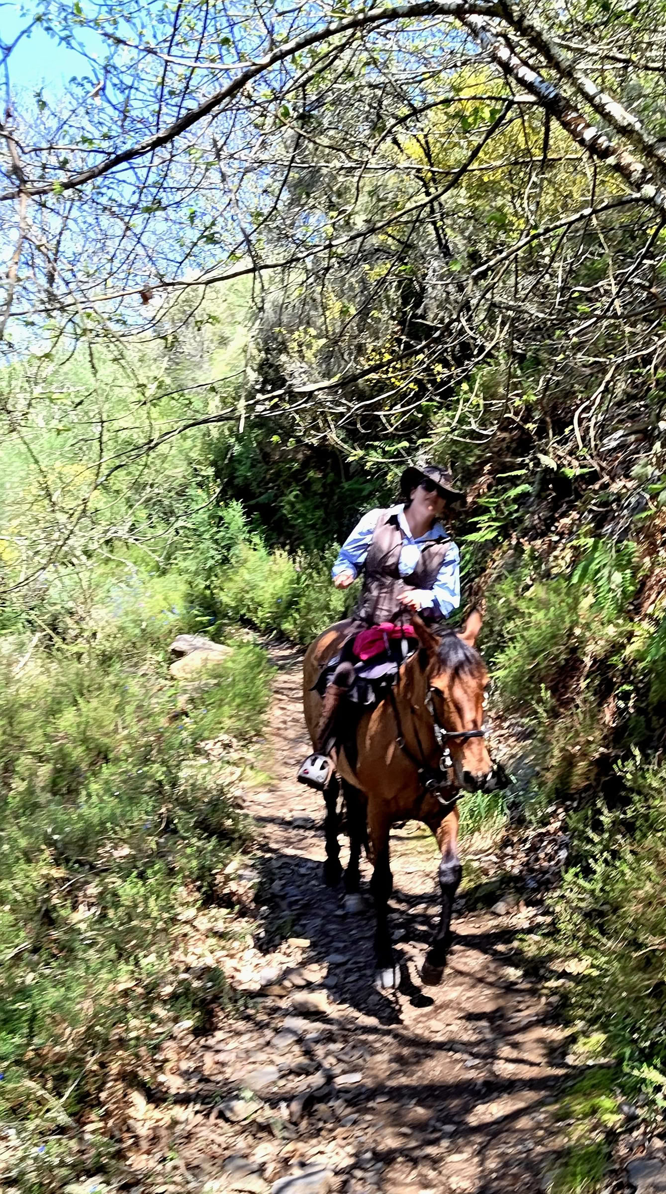 Camino Eclipse Trek