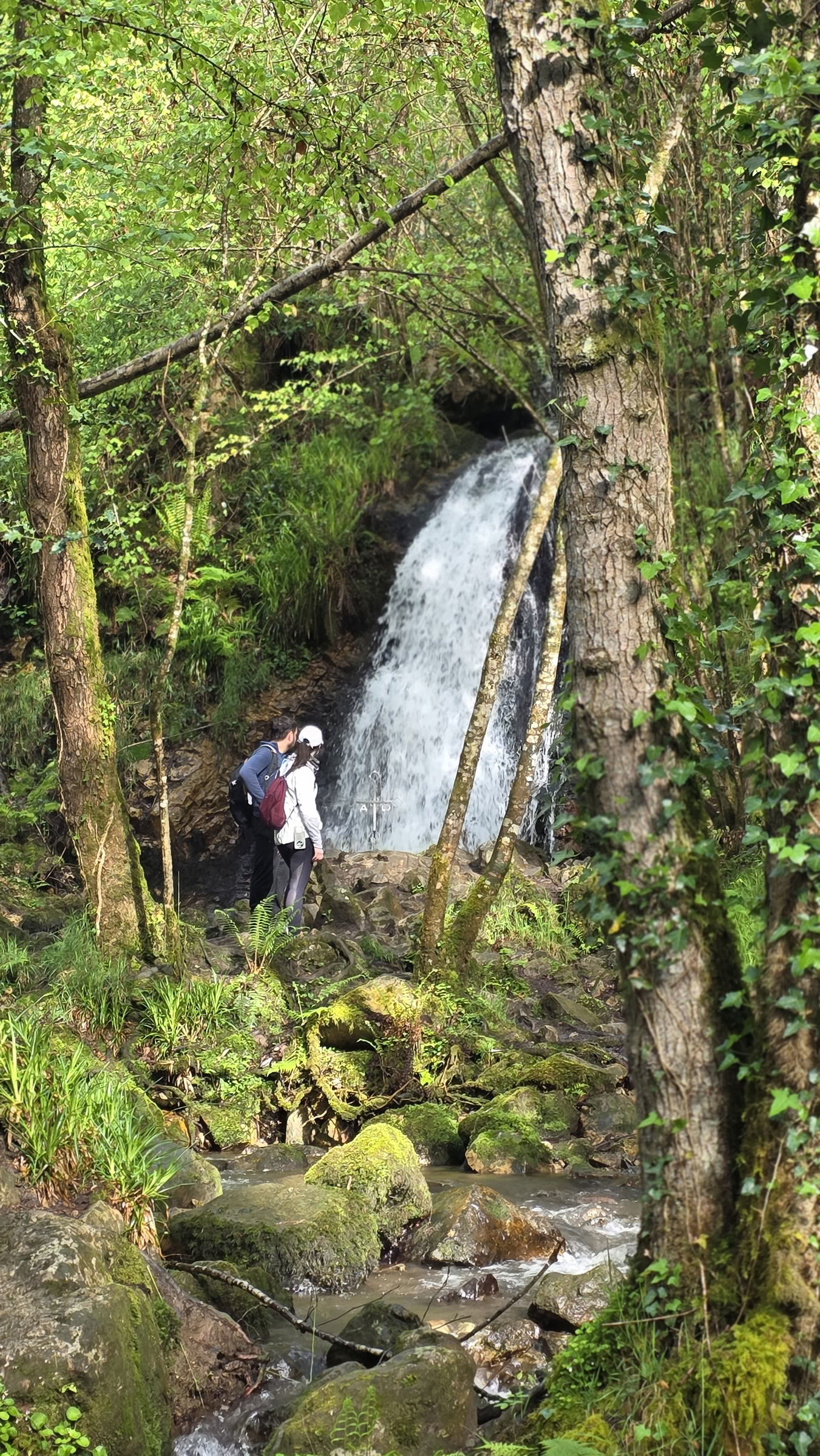 Camino Eclipse Trek