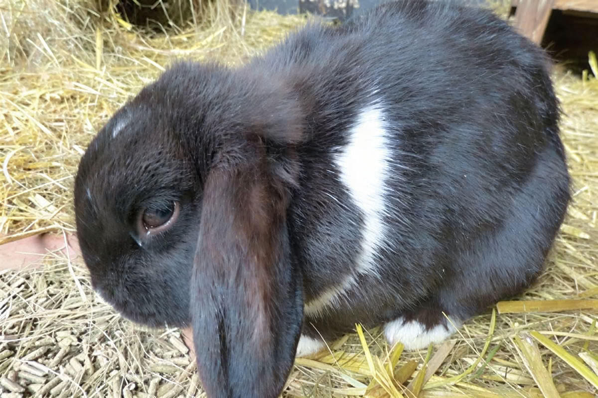 Šeštadienio popietė: tapyba