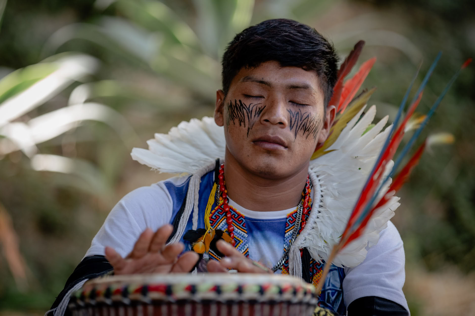 Ayahuasca ceremonijos