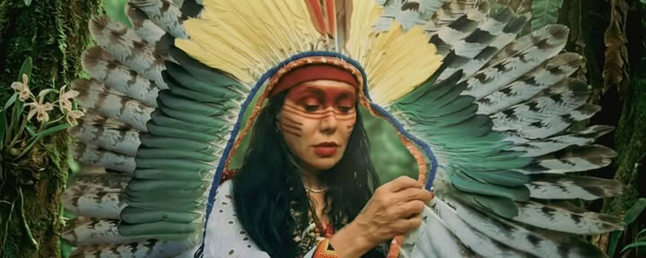 Ayahuasca ceremonijos