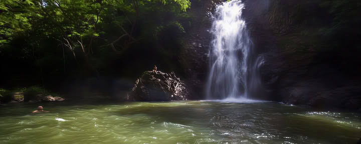 Costa Rica ~ Pura Vida retritas