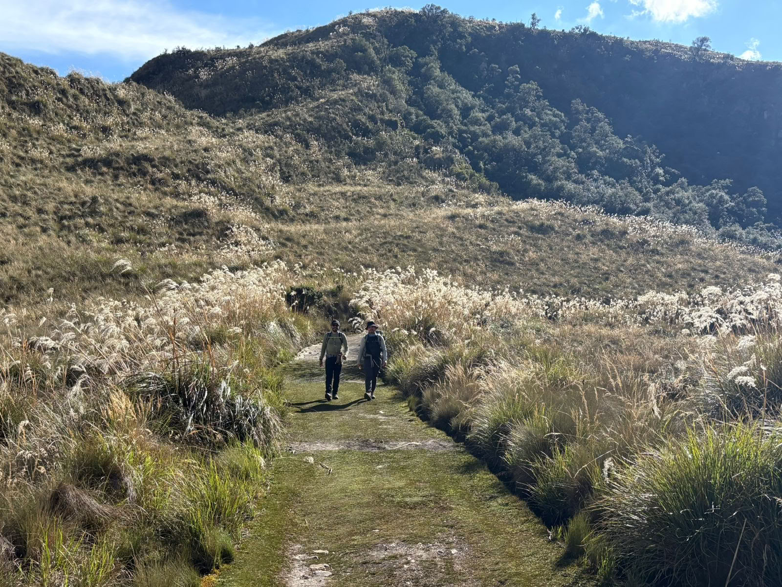 Ayahuasca retritas · 2026 m. liepos 5–12 d.