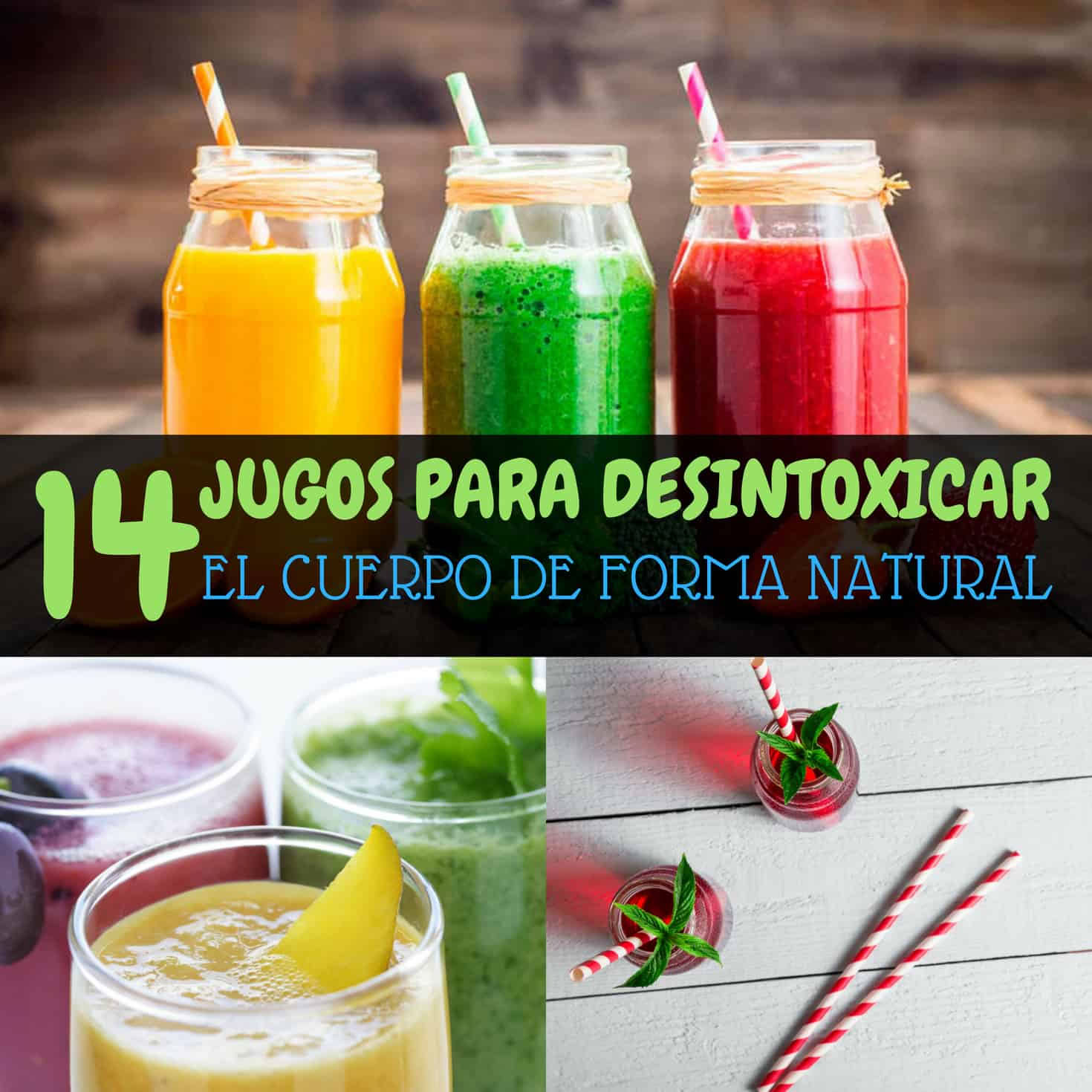 Retritas su ayahuasca ir tradicine vietinių tautų medicina