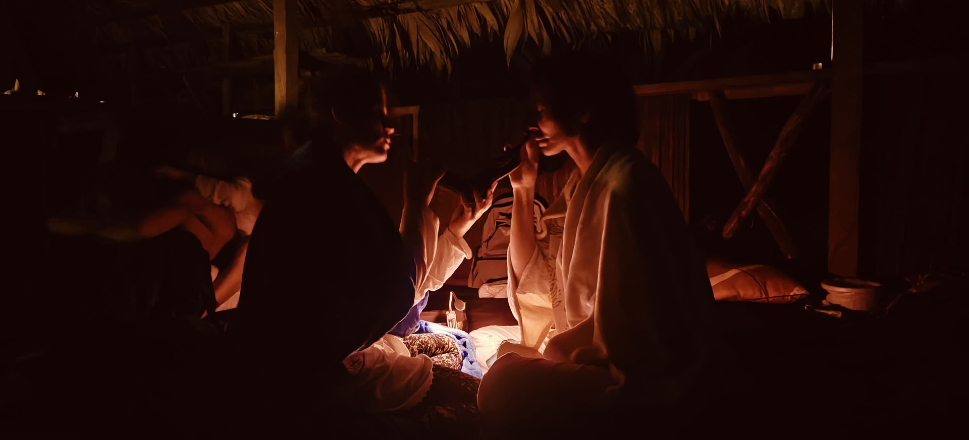 Retritas su ayahuasca ir tradicine vietinių tautų medicina