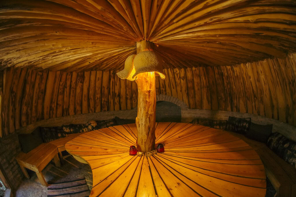 Retritas su ayahuasca ir tradicine vietinių tautų medicina