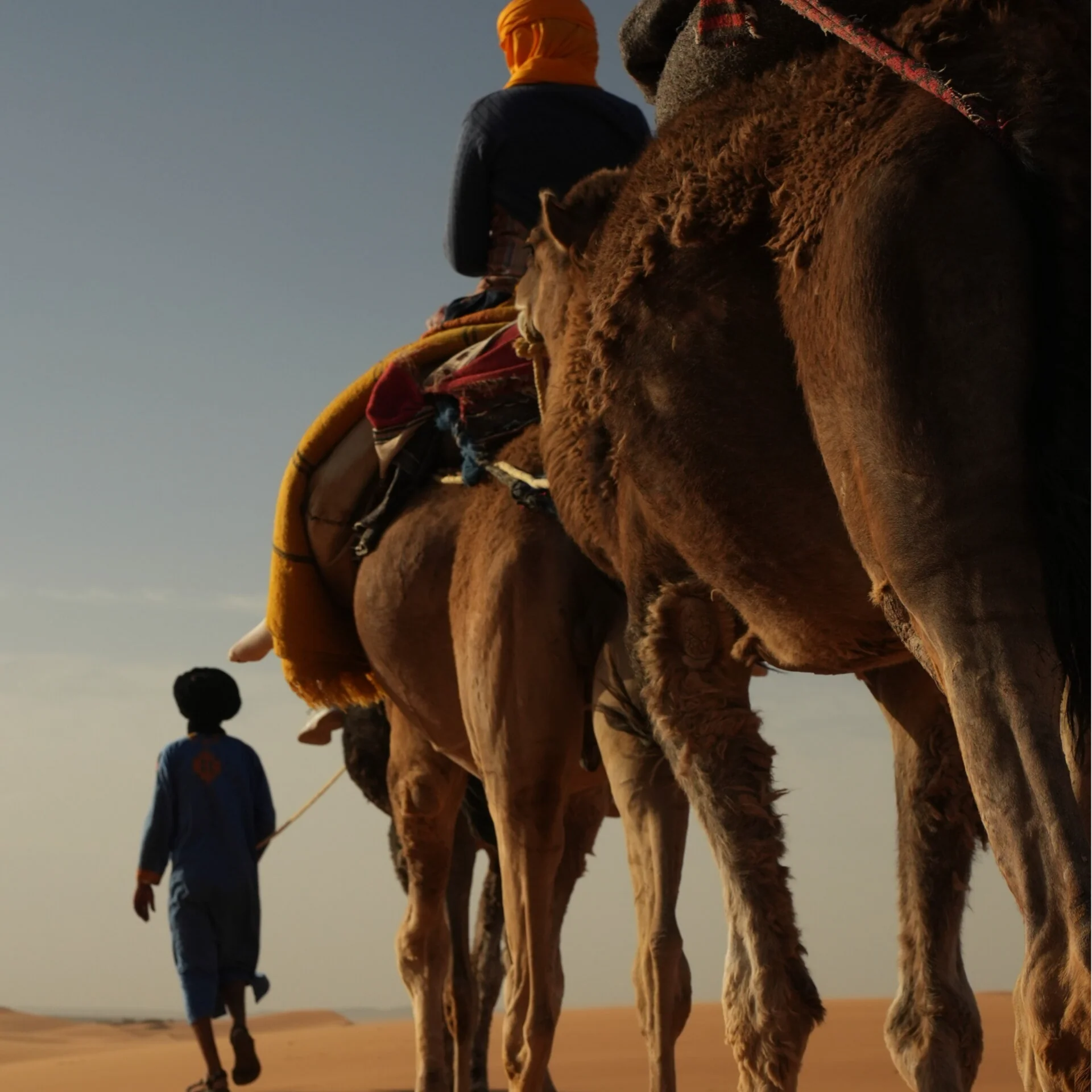 Joga Caravan – 9 dienos nuo Šiaurės Maroko iki Merzougos kopų
