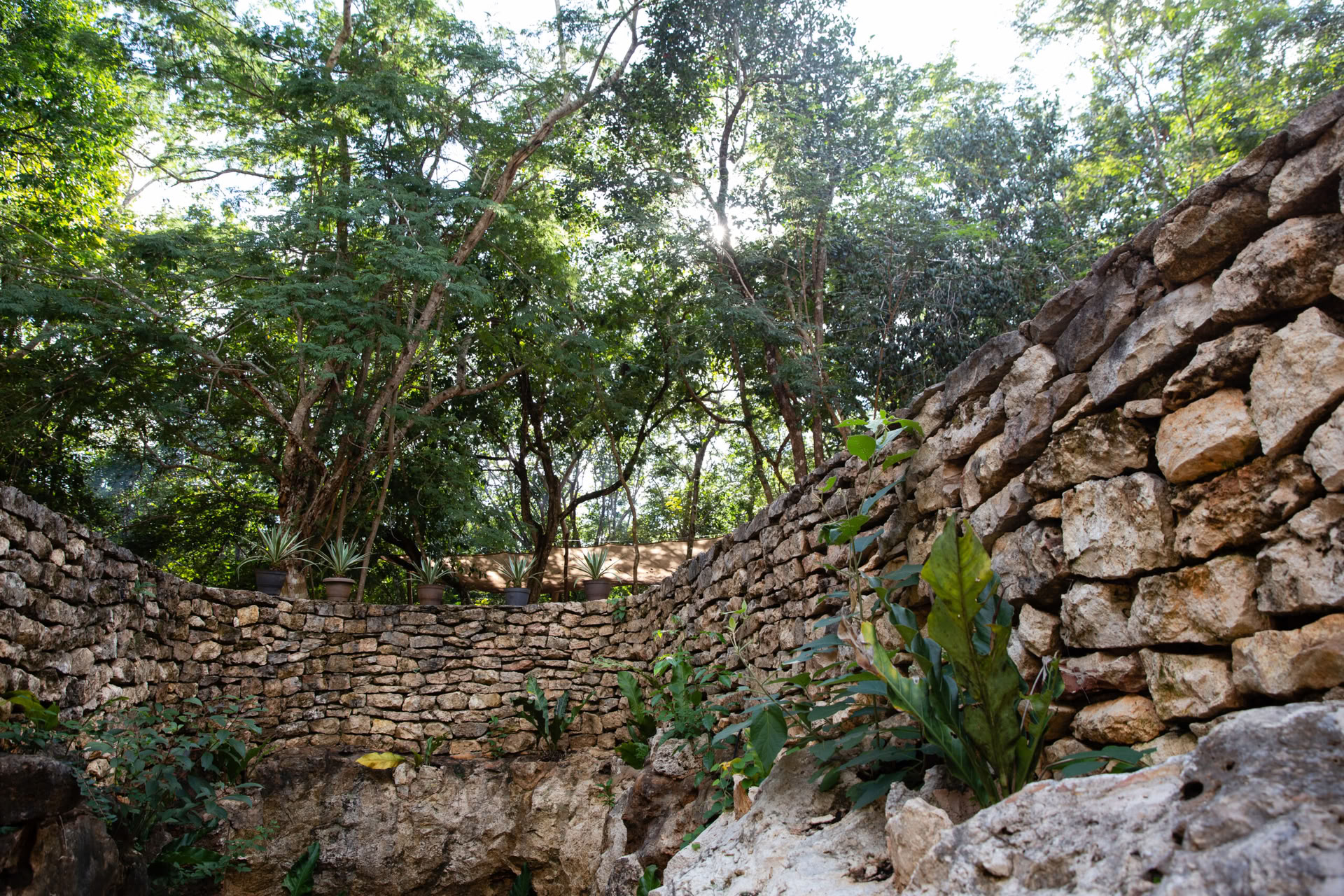 Agua Sagrada – Dienos bilietas