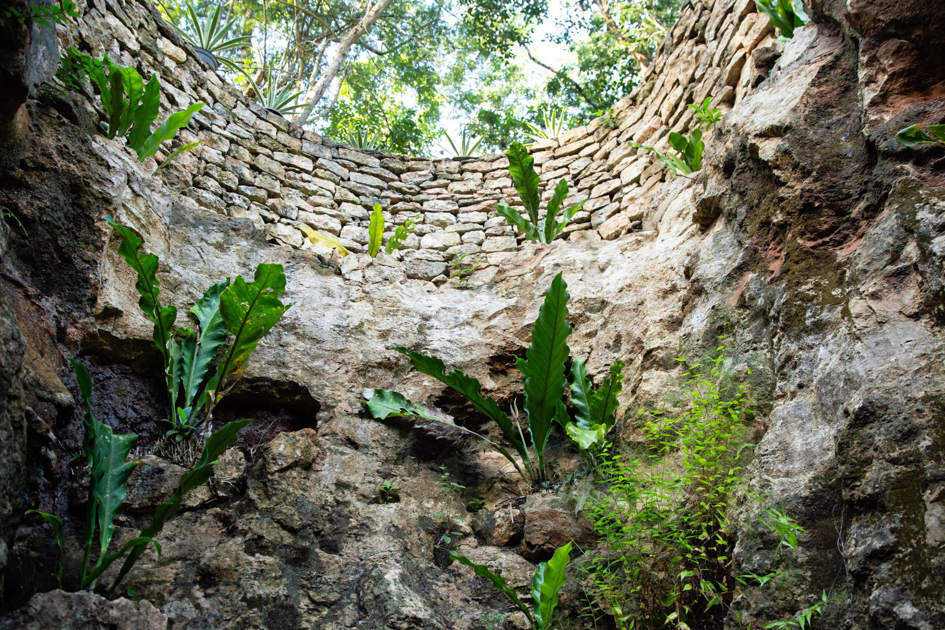 Agua Sagrada – Dienos bilietas