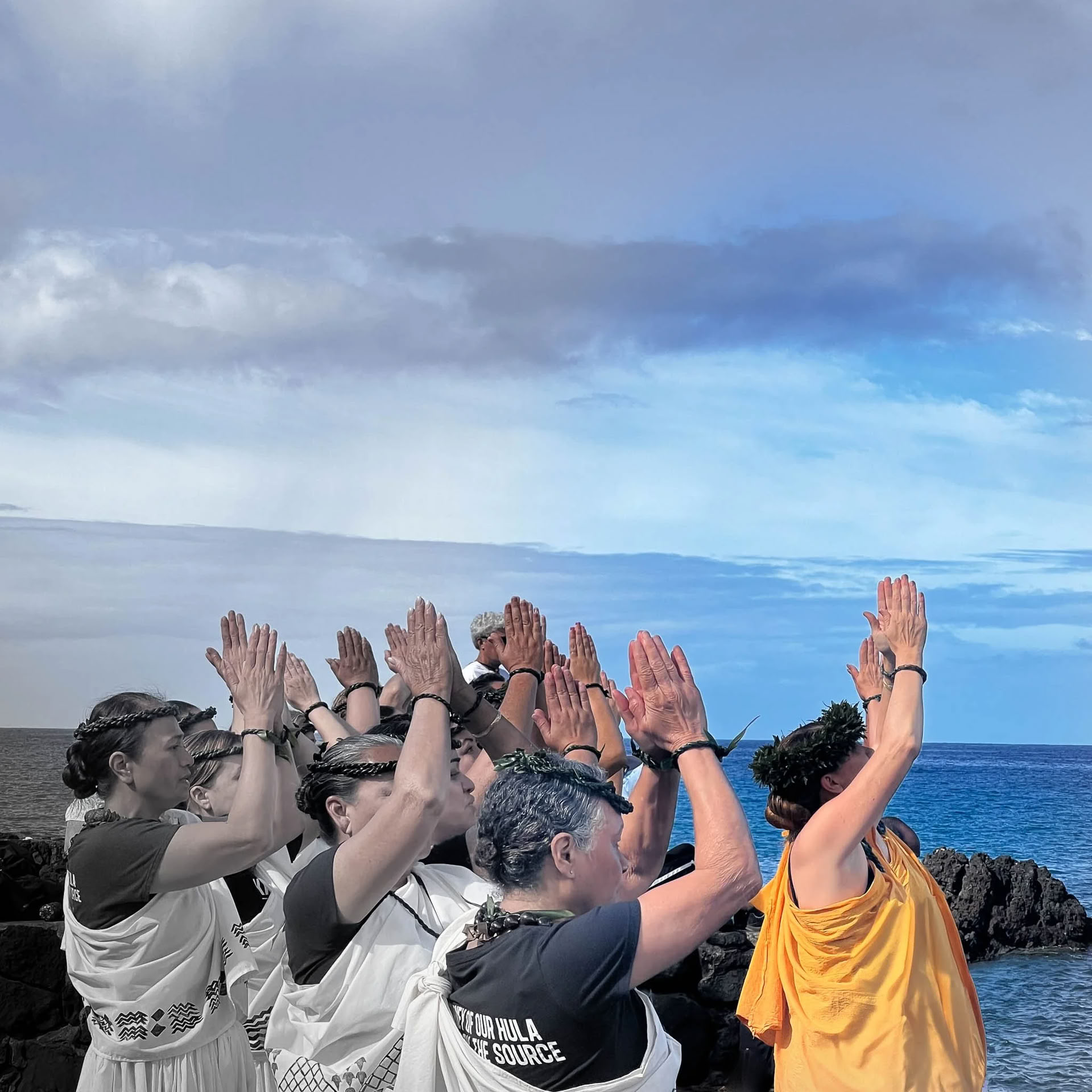 Hawaii Custom Retritai — Ko-Creation Somatinė terapija Sveikatingumo