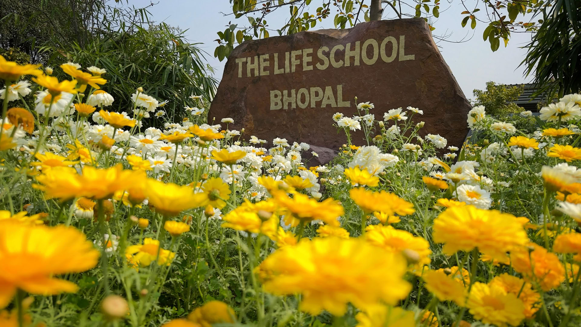 „Vishram“ tyliojo sąmoningumo retritas