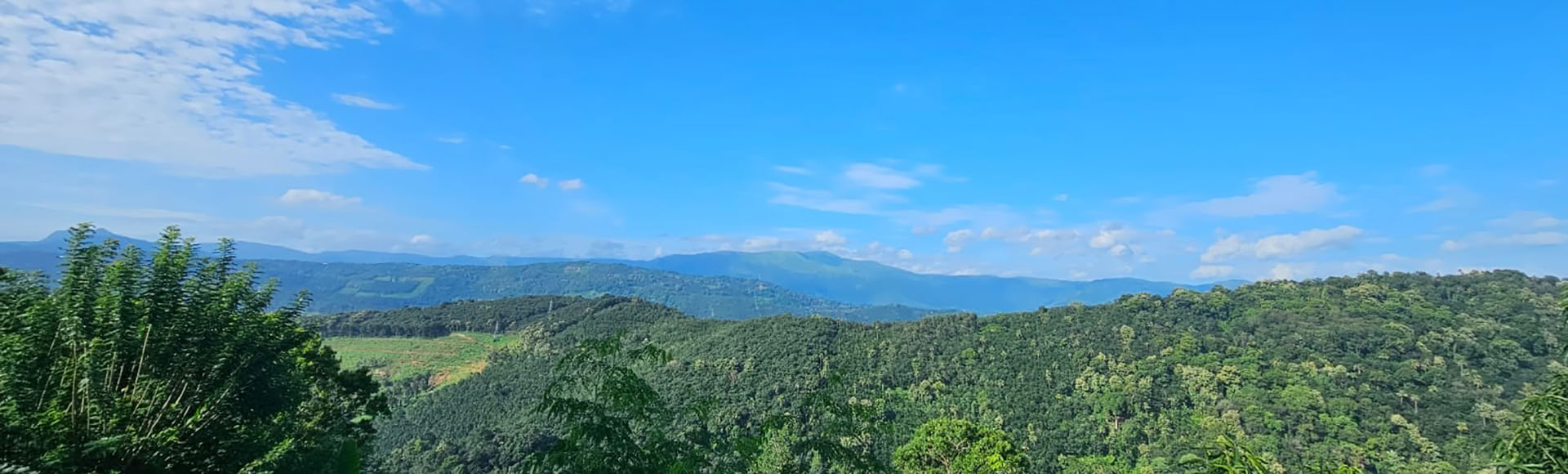 14 ARBA 21 DIENŲ STRESO MAŽINIMO PROGRAMA