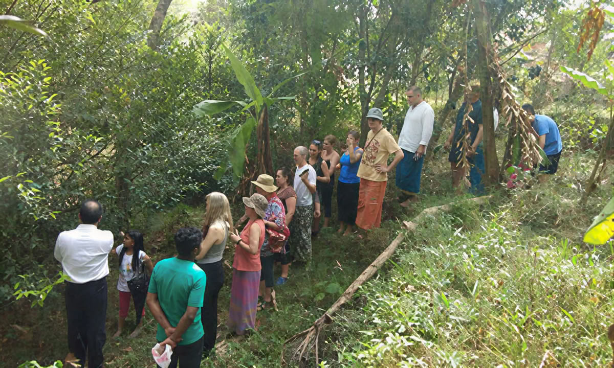 14 ARBA 21 DIENŲ STRESO MAŽINIMO PROGRAMA