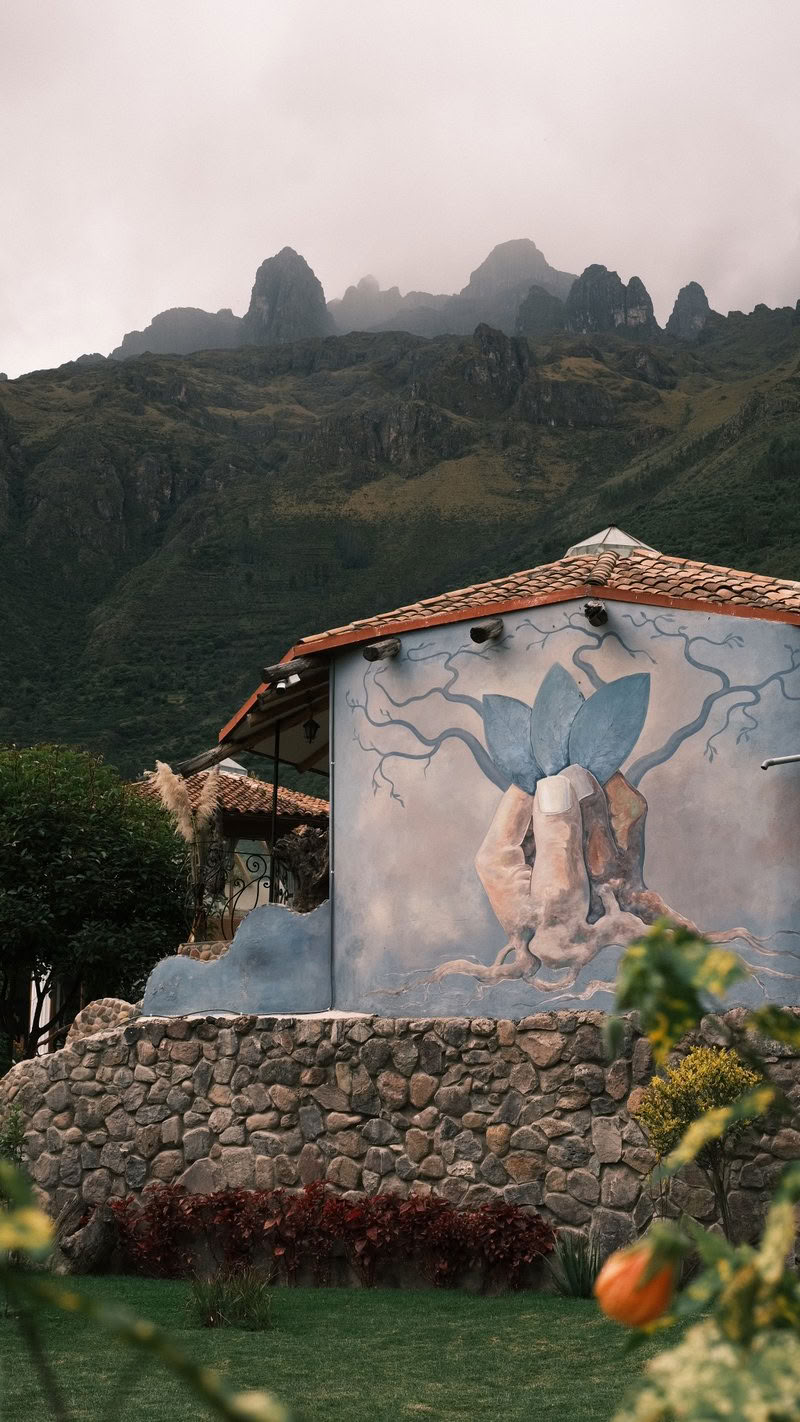 9 dienų ayahuasca retritas