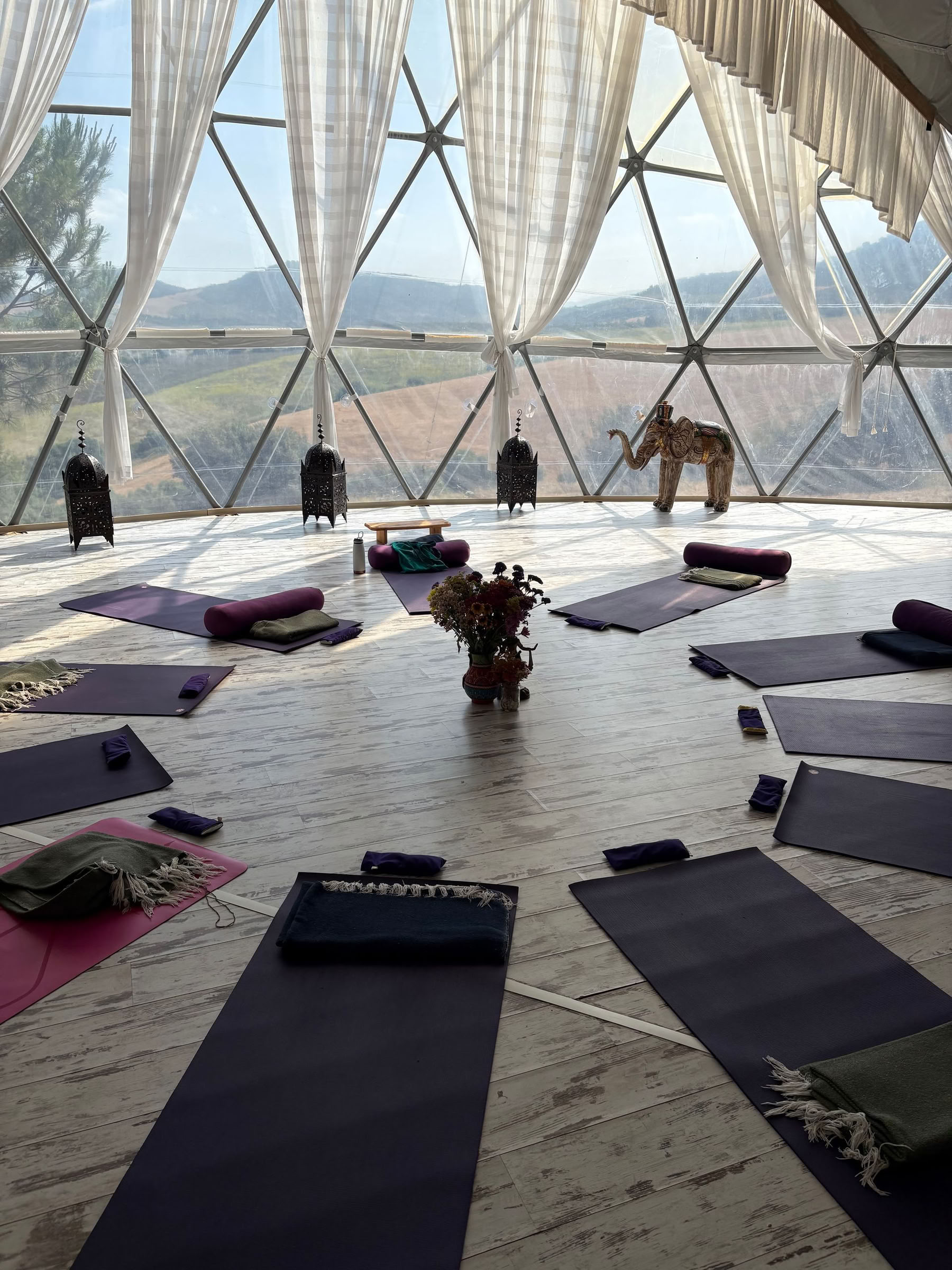 Joga pagrindai