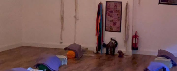 Hatha joga
