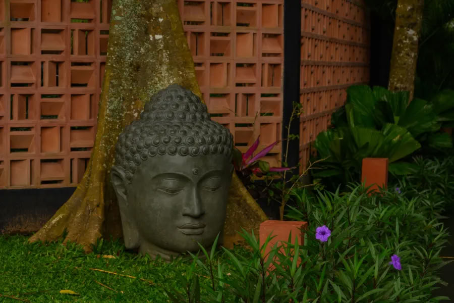 Joga ir meditacija