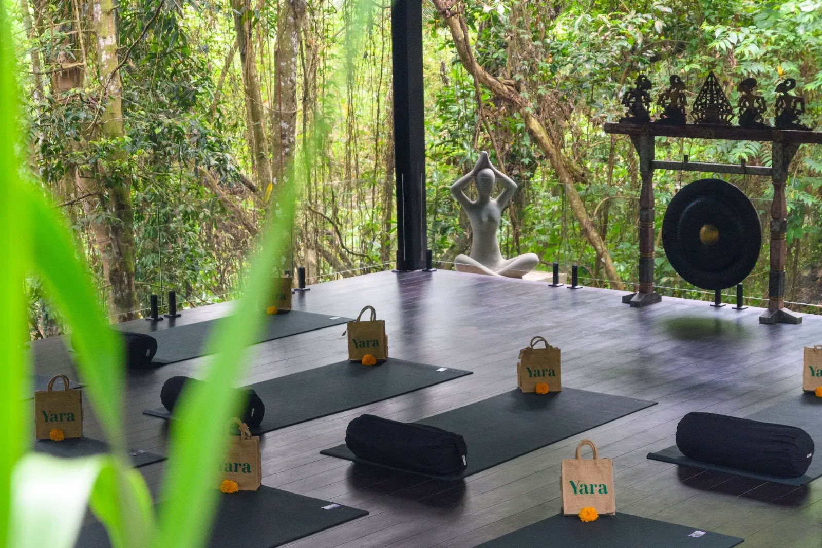 Joga ir meditacija