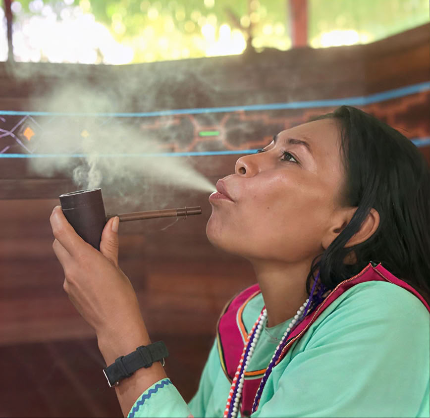 5 dienų įvadas į ayahuaską ir Amazonijos augalų mediciną