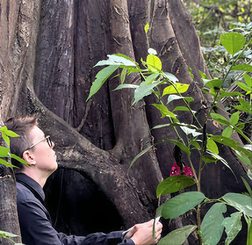 5 dienų įvadas į ayahuaską ir Amazonijos augalų mediciną