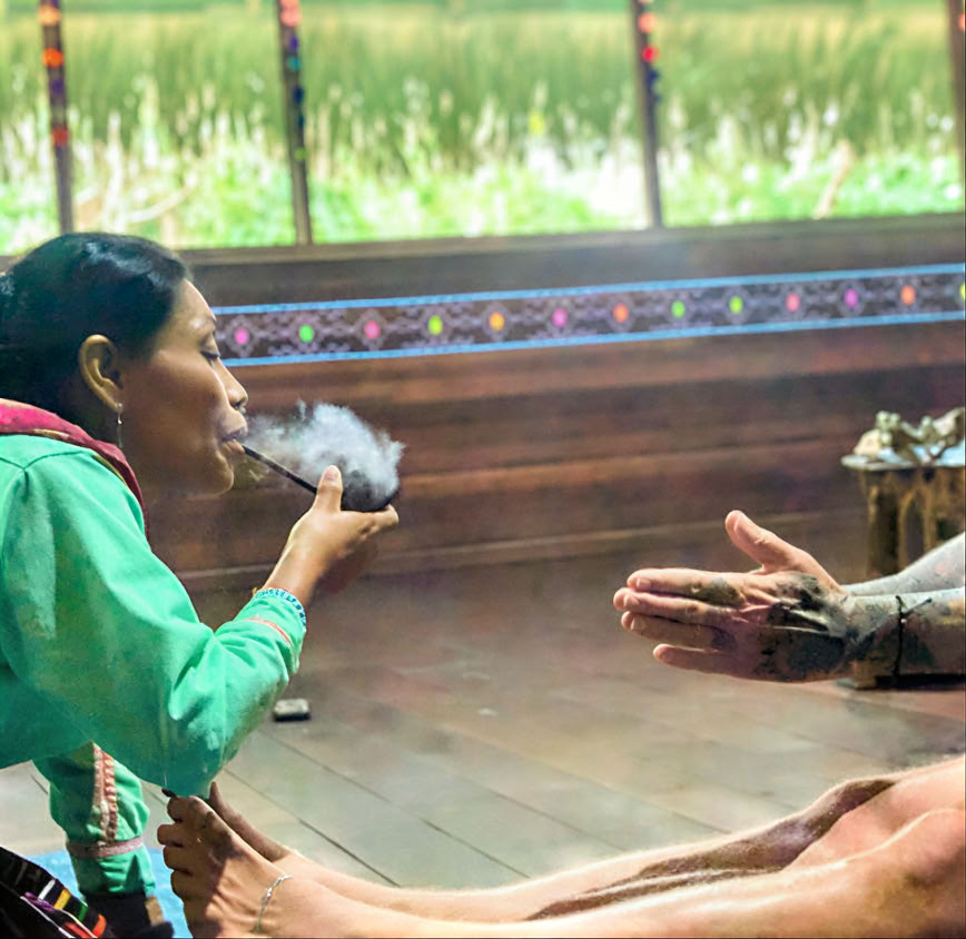 5 dienų įvadas į ayahuaską ir Amazonijos augalų mediciną