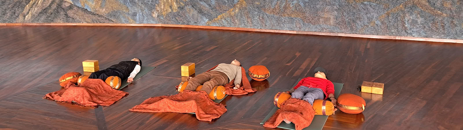 Joga visam gyvenimui programa