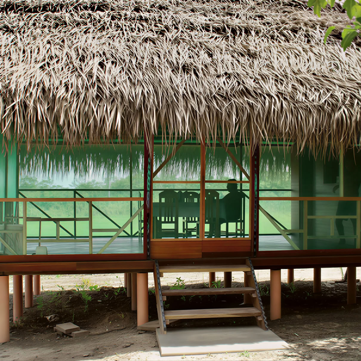 1 savaitės ayahuasca retritas Peru