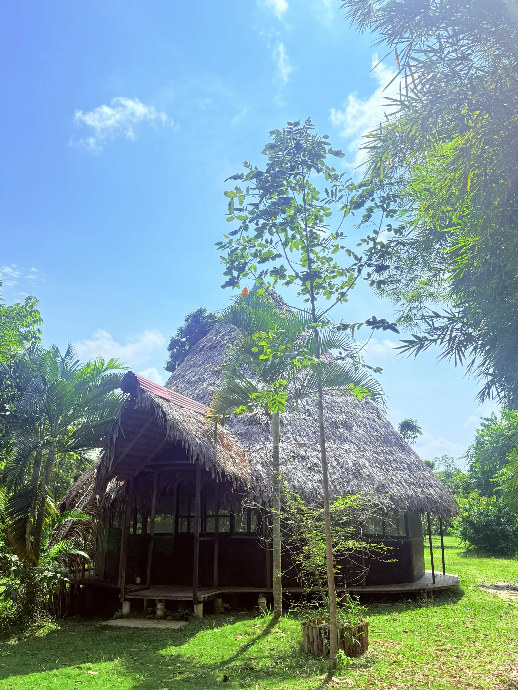 2 savaičių ajahuaskos retritas Peru