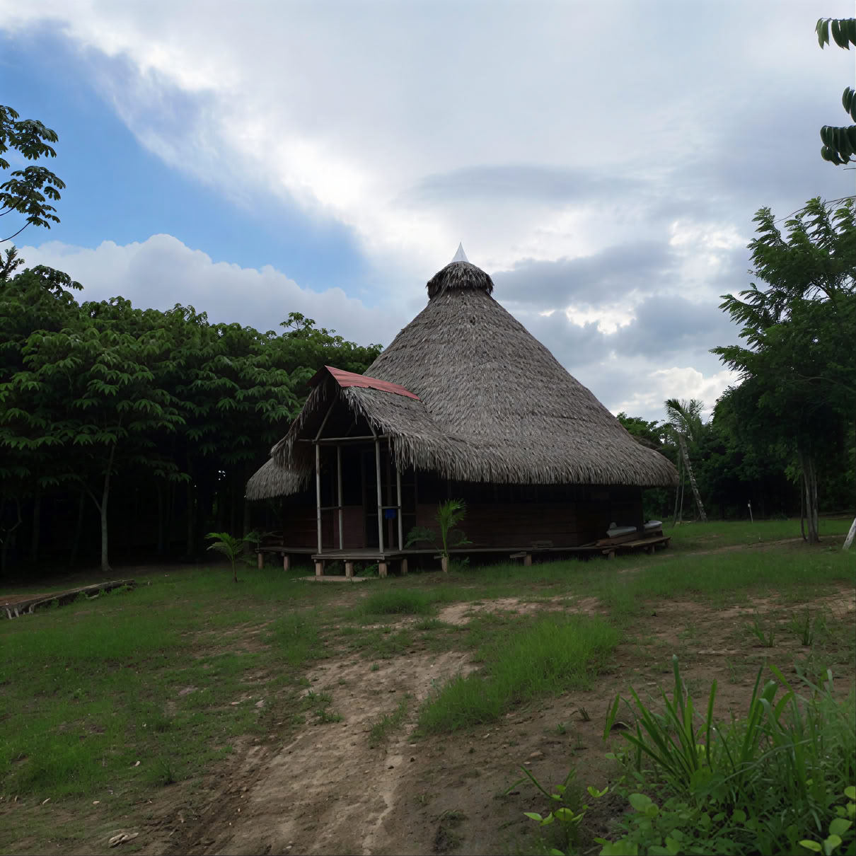 3 savaičių ajahuaskos retritas Peru