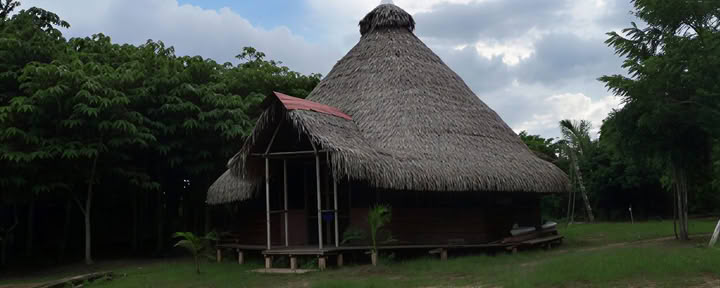 3 savaičių ajahuaskos retritas Peru