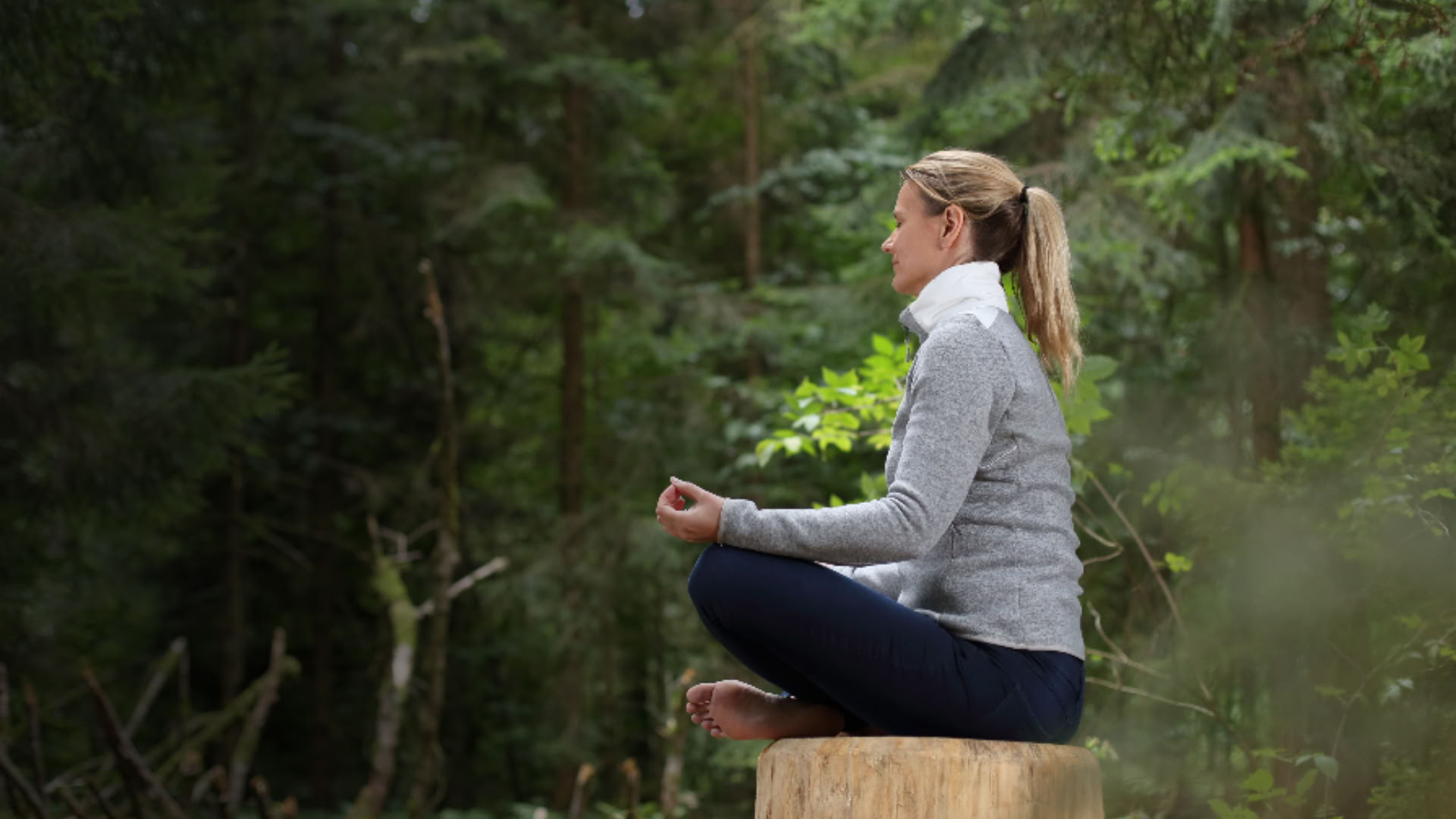 Joga ir gamtos retritas su Jacqui Fownes